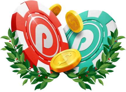 Bonus for the first deposit